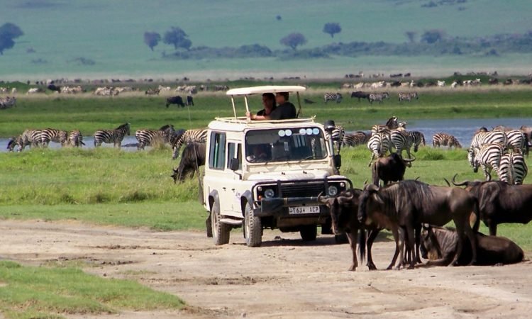 daysSerengetiSafarix